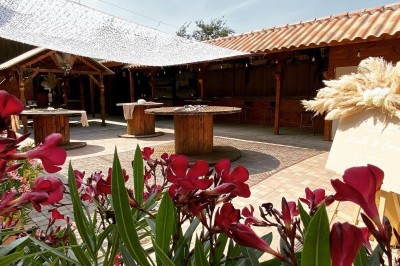 Massif de fleurs violettes au premier plan, terrasse en bois et ciel bleu en arrière-plan.