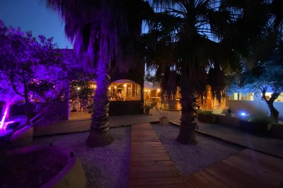 Massif de fleurs violettes au premier plan, terrasse en bois et ciel bleu en arrière-plan.