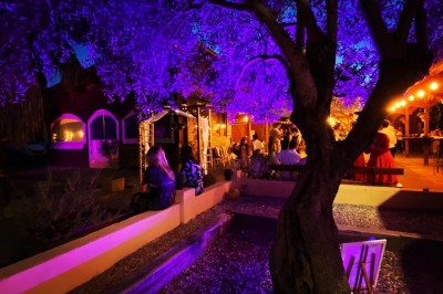 Massif de fleurs violettes au premier plan, terrasse en bois et ciel bleu en arrière-plan.