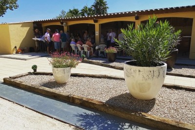 Massif de fleurs violettes au premier plan, terrasse en bois et ciel bleu en arrière-plan.