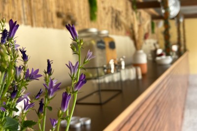 Massif de fleurs violettes au premier plan, terrasse en bois et ciel bleu en arrière-plan.