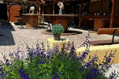 Massif de fleurs violettes au premier plan, terrasse en bois et ciel bleu en arrière-plan.