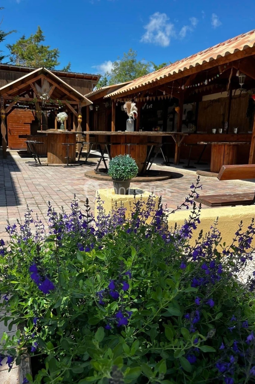 Massif de fleurs violettes au premier plan, terrasse en bois et ciel bleu en arrière-plan.
