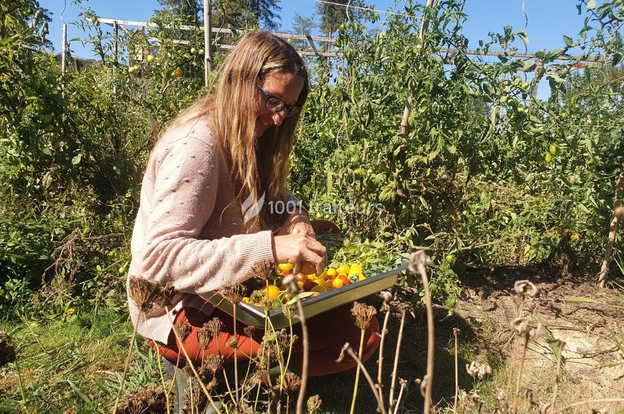 Une femme cueille des tomates dans un jardin, tenant un plateau rempli de légumes sous un ciel ensoleillé.