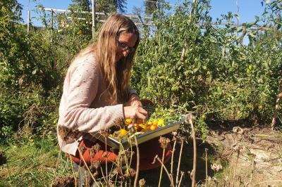 Miniature Traiteur Nousty (Pyrénées-Atlantiques) - Adquat Traiteur #4 Femme souriante cueillant des baies dans un jardin sous un parapluie par temps nuageux.