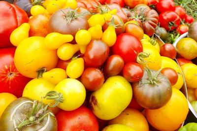Miniature Traiteur Nousty (Pyrénées-Atlantiques) - Adquat Traiteur #6 Femme souriante cueillant des baies dans un jardin sous un parapluie par temps nuageux.