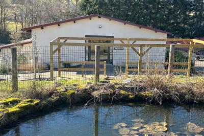 Des chèvres et des chevreaux devant une cabane en bois dans un enclos extérieur.