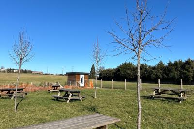 Des chèvres et des chevreaux devant une cabane en bois dans un enclos extérieur.