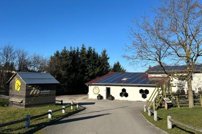 Des chèvres et des chevreaux devant une cabane en bois dans un enclos extérieur.