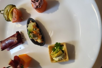 Plateau de bouchées apéritives garnies de mousse rose et décorées de feuilles de persil, disposées sur une grille.