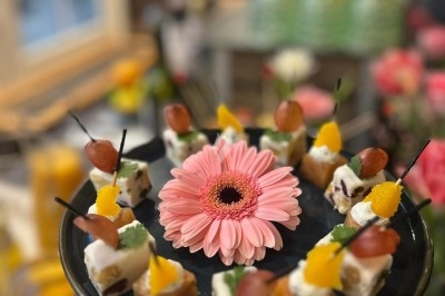 Plateau de bouchées apéritives garnies de mousse rose et décorées de feuilles de persil, disposées sur une grille.