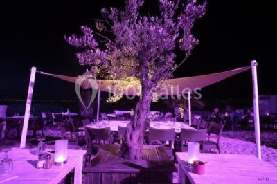 Location salle Vallauris (Alpes-Maritimes) - Plage Privée Le Lagon #17