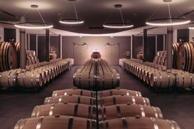 Bâtiment moderne avec façades vitrées et terrasses en bois, entouré de végétation au crépuscule.