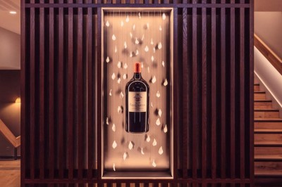 Bâtiment moderne avec façades vitrées et terrasses en bois, entouré de végétation au crépuscule.