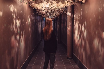 Bâtiment moderne avec façades vitrées et terrasses en bois, entouré de végétation au crépuscule.