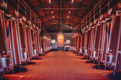 Vue aérienne d'une terrasse animée entourée de vignes au coucher du soleil, avec des invités profitant du cadre.
