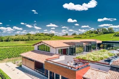Vue aérienne d'une terrasse animée entourée de vignes au coucher du soleil, avec des invités profitant du cadre.