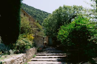 Miniature Location salle Valouse (Drôme) - Hameau de Valouse #26 Salle lumineuse avec tables et chaises en bois, grandes baies vitrées et plafond décoré de motifs végétaux.