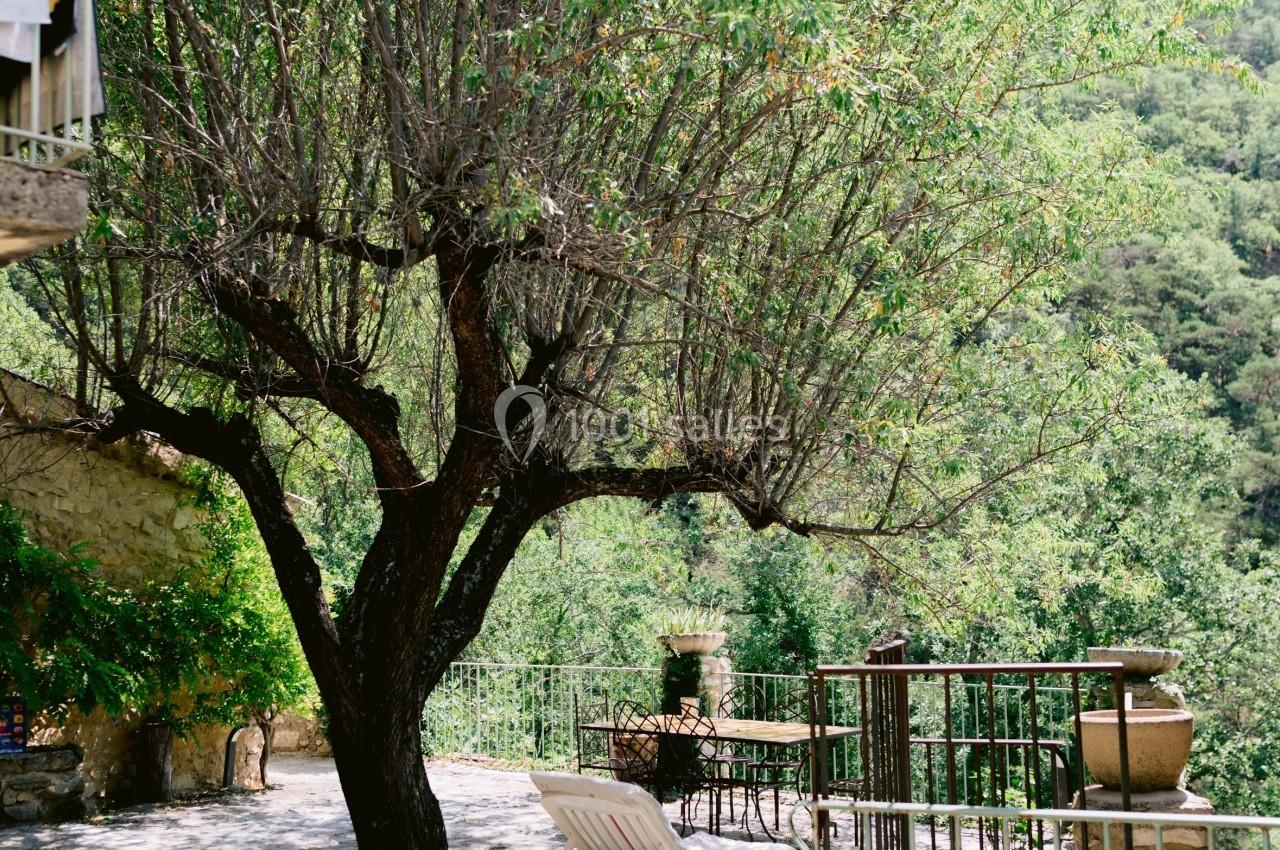 Terrasse ombragée avec un arbre, des chaises longues et une vue sur un paysage verdoyant près d'une piscine.