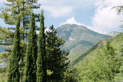Miniature Location salle Valouse (Drôme) - Hameau de Valouse #52 Salle lumineuse avec tables et chaises en bois, grandes baies vitrées et plafond décoré de motifs végétaux.