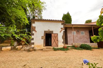 Petite pièce avec plafond en bois, coin cuisine équipé, table en bois et buffet rustique, vue sur une porte ouverte.