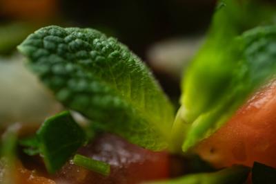 Miniature Traiteur Roquebrune-Cap-Martin (Alpes-Maritimes) - La Beyrouthine #5 Assortiment de mezzés libanais sur une planche en bois, incluant falafels, samoussas, rouleaux et chaussons.