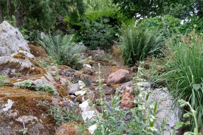Miniature Location salle Elliant (Finistère) - Domaine des Rhododendrons #22 Location salle Elliant (Finistère) - Domaine des Rhododendrons #25