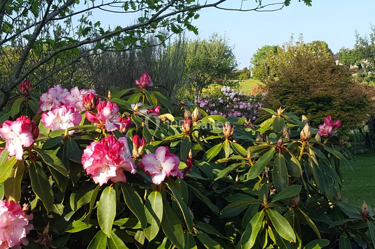 Location salle Elliant (Finistère) - Domaine des Rhododendrons #25