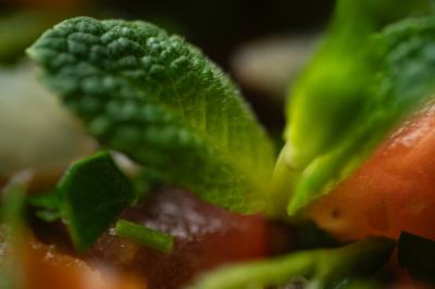 Feuilles de menthe fraîche entourées de morceaux de tomate et d'herbes hachées.