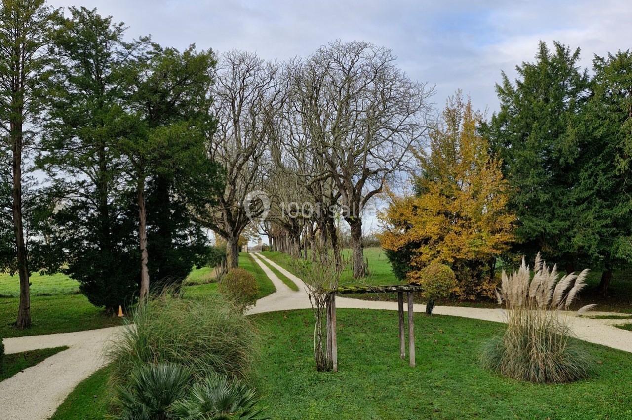 Allée bordée d'arbres et de végétation automnale dans un parc avec chemins sinueux et ciel légèrement nuageux.