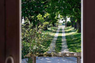 Table dressée pour le petit-déjeuner dans une salle à manger élégante avec chaises en bois et buffet en arrière-plan.