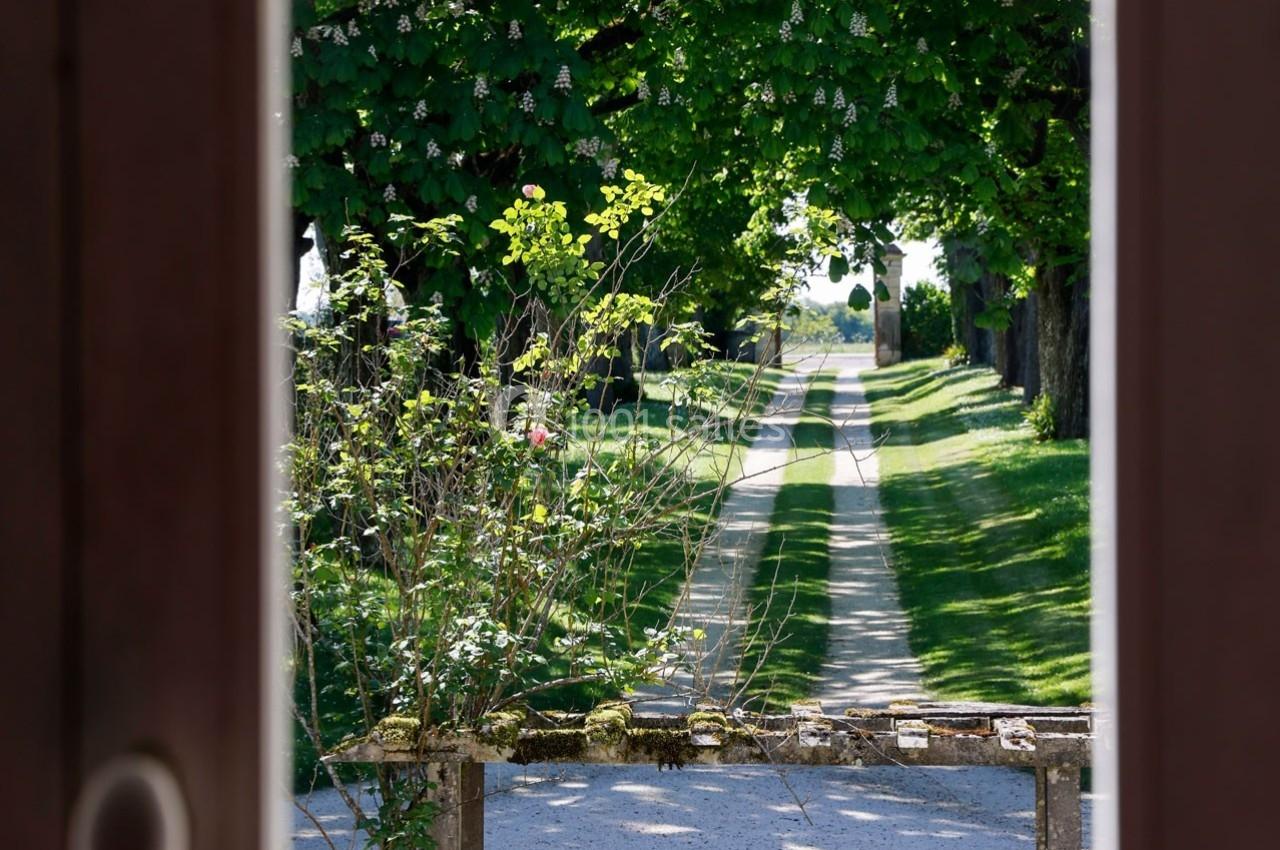 Vue d'une allée bordée d'arbres et de pelouses, encadrée par une fenêtre avec des plantes au premier plan.