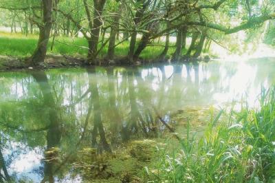 Table dressée pour le petit-déjeuner dans une salle à manger élégante avec chaises en bois et buffet en arrière-plan.
