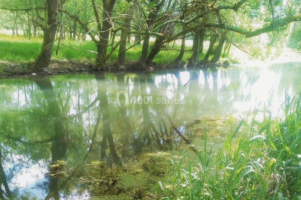 Rivière calme bordée d'arbres et de végétation, reflétant le paysage environnant sous une lumière naturelle.