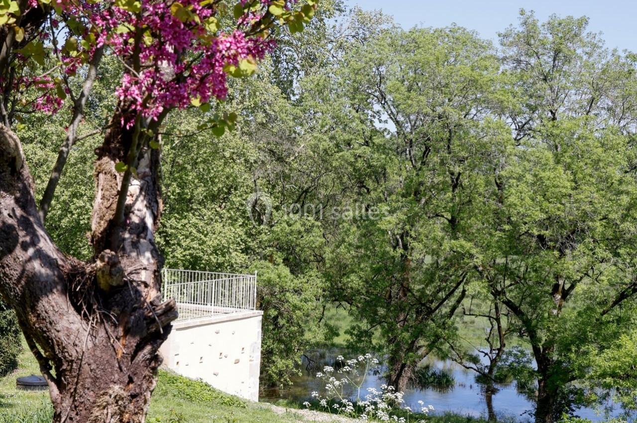 Arbre en fleurs près d'un bâtiment avec terrasse, entouré de verdure et surplombant une rivière.