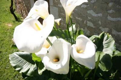 Location salle Usson-du-Poitou (Vienne) - La Grange des Gîtes de la Font #36