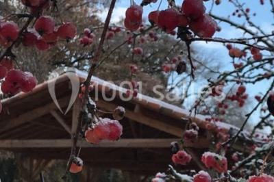 Location salle Usson-du-Poitou (Vienne) - La Grange des Gîtes de la Font #36