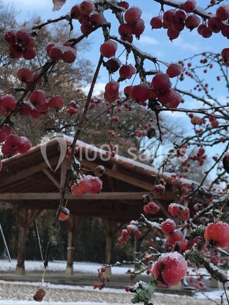 Location salle Usson-du-Poitou (Vienne) - La Grange des Gîtes de la Font #34
