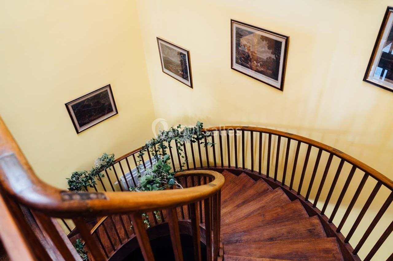 Escalier en bois courbé avec des plantes décoratives et des tableaux accrochés sur un mur jaune.