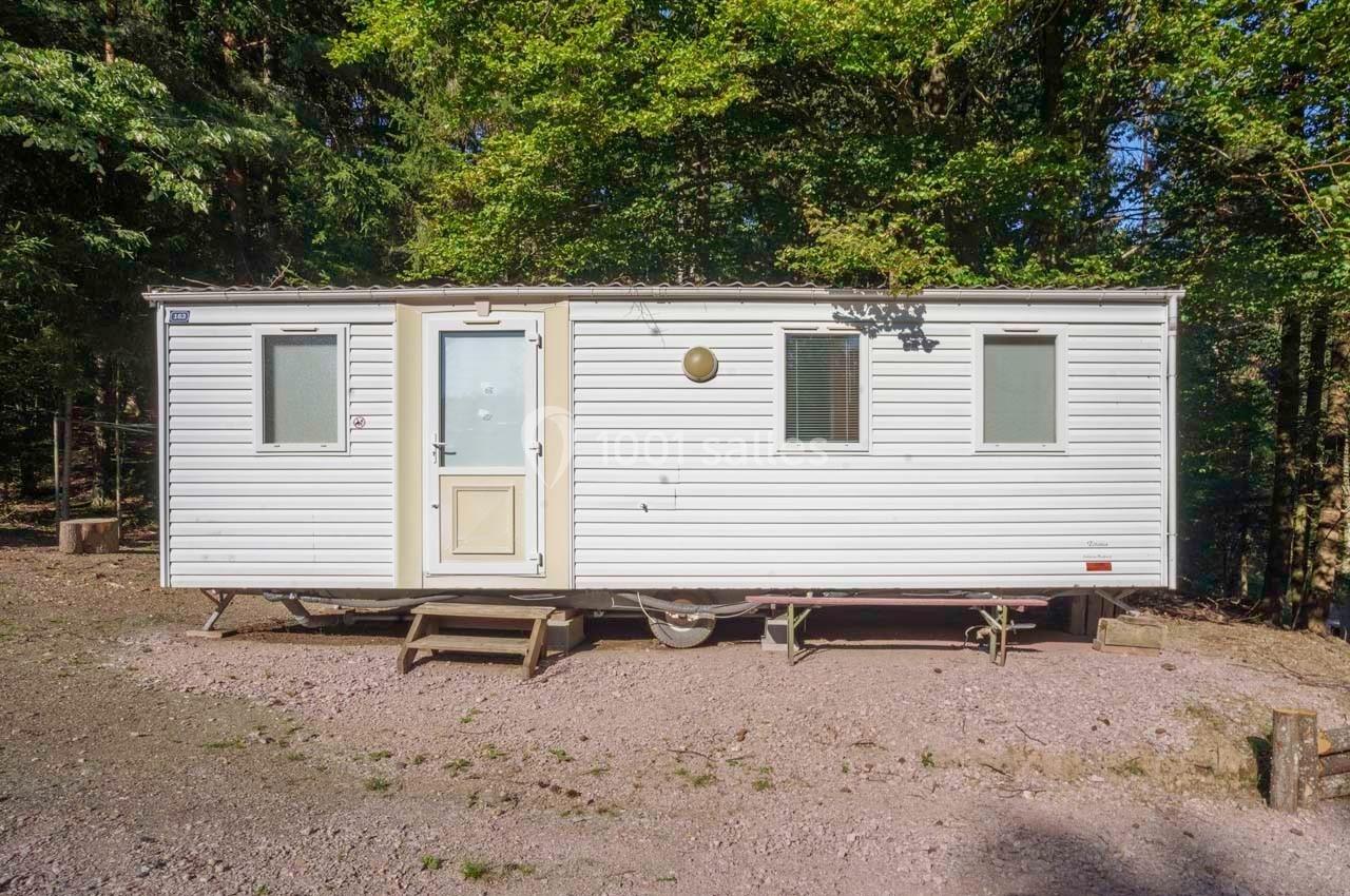 Mobil-home blanc avec trois fenêtres et une porte, situé dans une clairière entourée d'arbres.