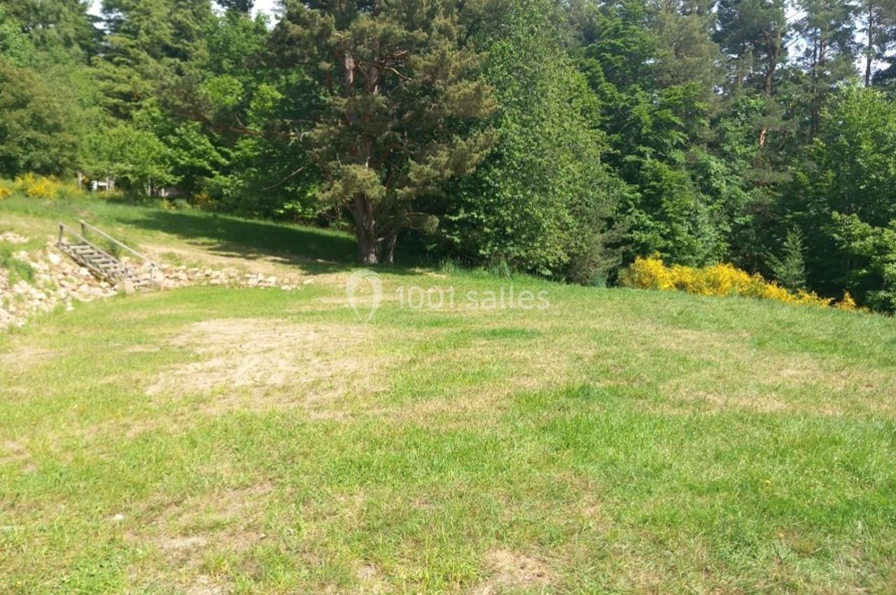 Pelouse verdoyante entourée d'arbres et de buissons sous un ciel dégagé, avec un petit escalier en bois à gauche.