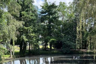 Des personnes discutent debout dans un espace extérieur, entourées de verdure et de mobilier de jardin.