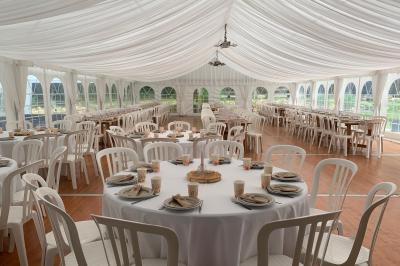 Champ ensoleillé bordé d'arbres, avec des rayons de soleil traversant le feuillage au premier plan.