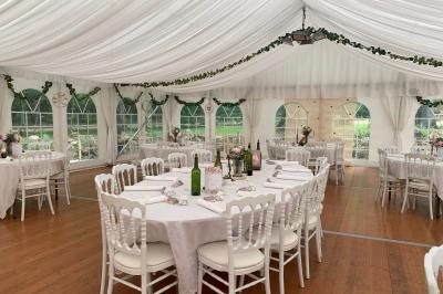 Champ ensoleillé bordé d'arbres, avec des rayons de soleil traversant le feuillage au premier plan.