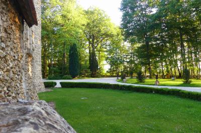 Champ ensoleillé bordé d'arbres, avec des rayons de soleil traversant le feuillage au premier plan.