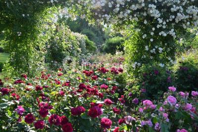 Location salle Morienval (Oise) - Abbaye De Morienval #20