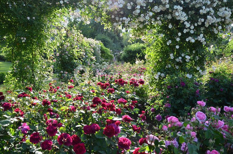 Location salle Morienval (Oise) - Abbaye De Morienval #9