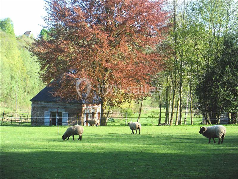 Location salle Morienval (Oise) - Abbaye De Morienval #18