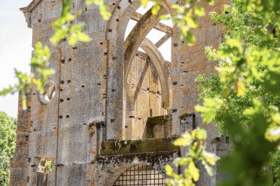 Miniature Location salle Montauban (Tarn-et-Garonne) - Eglise Inachevée #10 Structure en ruines avec des arcs en pierre et un clocher visible sous un ciel bleu.