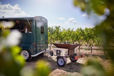 Deux personnes cuisinent des légumes colorés sur une grande plancha en extérieur, par une journée ensoleillée.